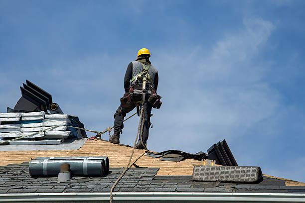 Professional Roof Repair technician working in Morrisonville, IL